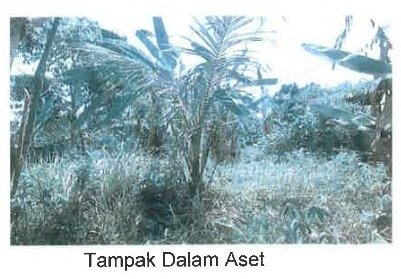 1 BIDANG TANAH DENGAN TOTAL LUAS 250 M2 DI KABUPATEN GIANYAR