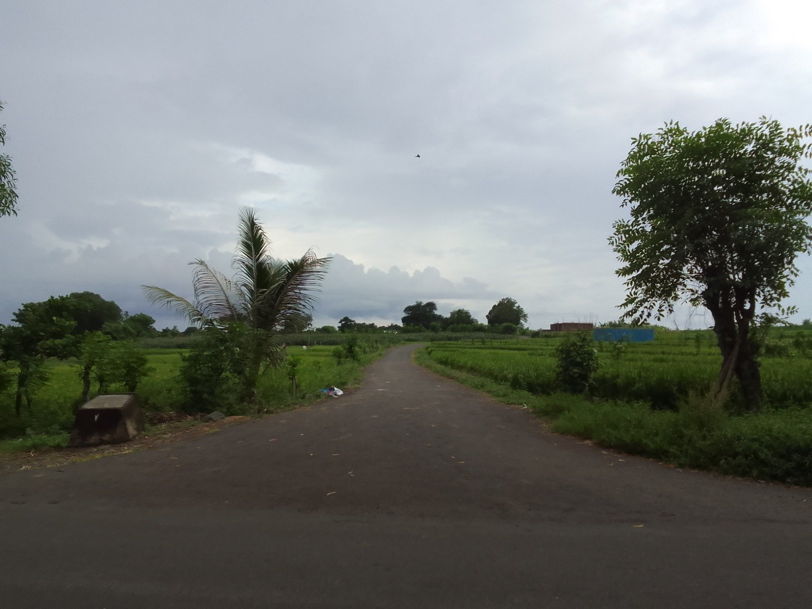 1 BIDANG TANAH DENGAN TOTAL LUAS 5544 M2 DI KABUPATEN LOMBOK TIMUR