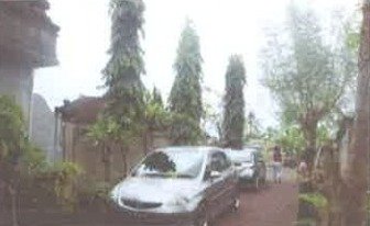 1 BIDANG TANAH DENGAN LUAS TOTAL 300 M2 BERIKUT BANGUNAN DI KABUPATEN BADUNG 