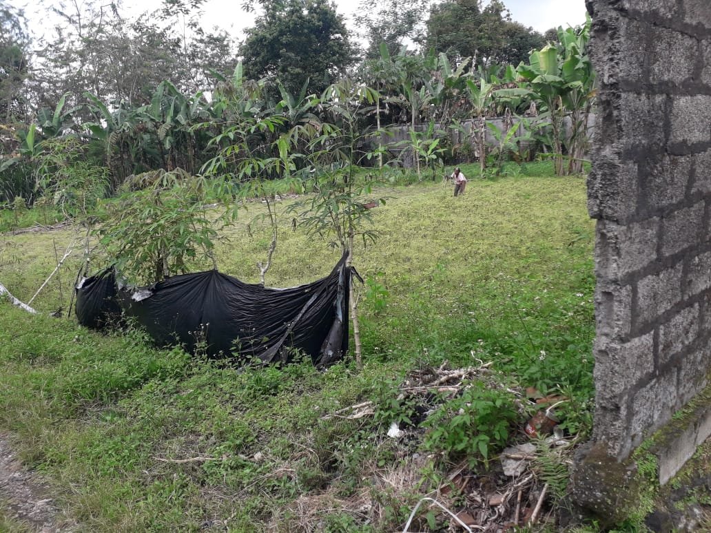 2 BIDANG TANAH DENGAN LUAS TOTAL 940 M2 DI KABUPATEN BADUNG 