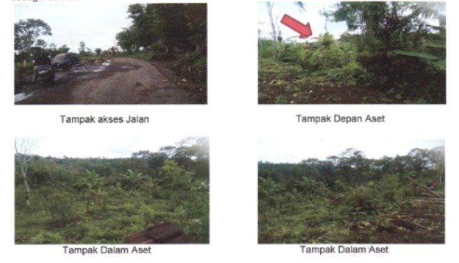 1 BIDANG TANAH DENGAN LUAS 3500M2 DI KABUPATEN BADUNG 