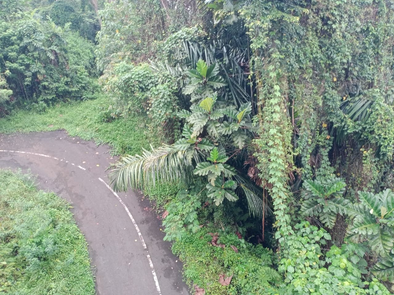 1 BIDANG TANAH DENGAN LUAS TOTAL 725 M2 DI KABUPATEN BADUNG 