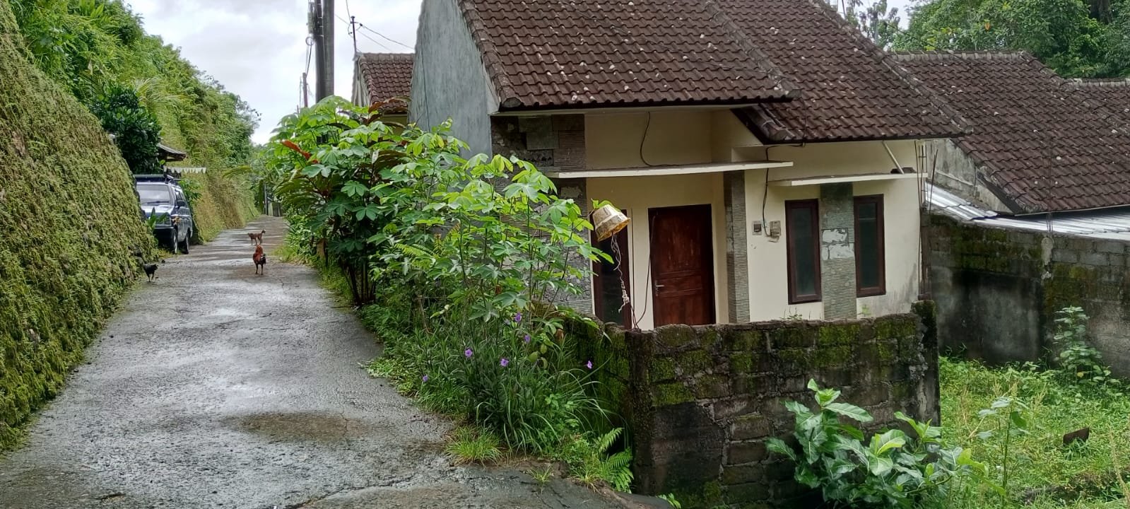 1 BIDANG TANAH DENGAN LUAS 80 M2 BESERTA BANGUNAN DI KABUPATEN TABANAN 