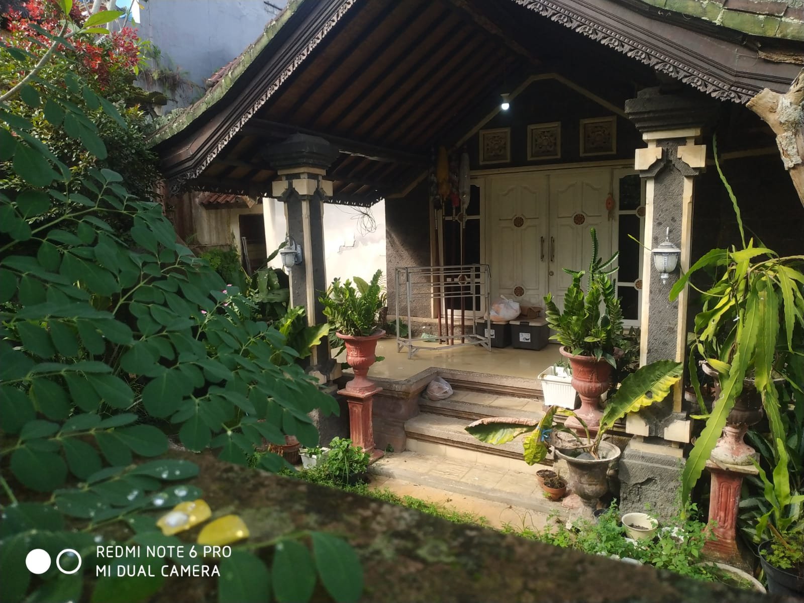 3 BIDANG TANAH DENGAN LUAS TOTAL 700 M2 BERIKUT BANGUNAN DI KABUPATEN TABANAN 