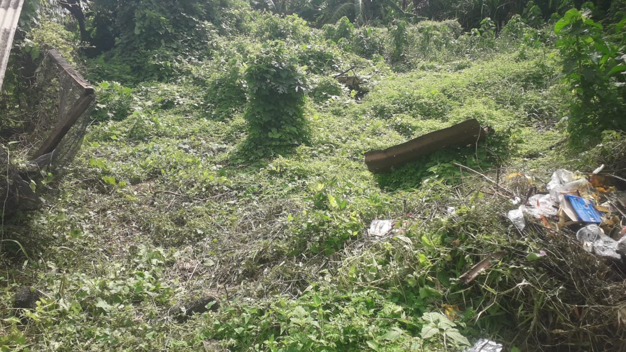 1 BIDANG TANAH DENGAN LUAS TOTAL 670 M2 DI KABUPATEN TABANAN 