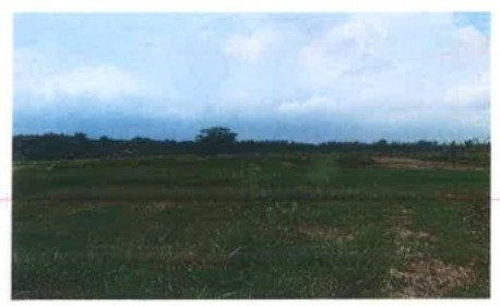 1 BIDANG TANAH DENGAN LUAS 2115 M2 DI KABUPATEN TABANAN 