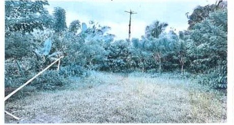 1 BIDANG TANAH DENGAN LUAS 22750 M2 DI KABUPATEN TABANAN 