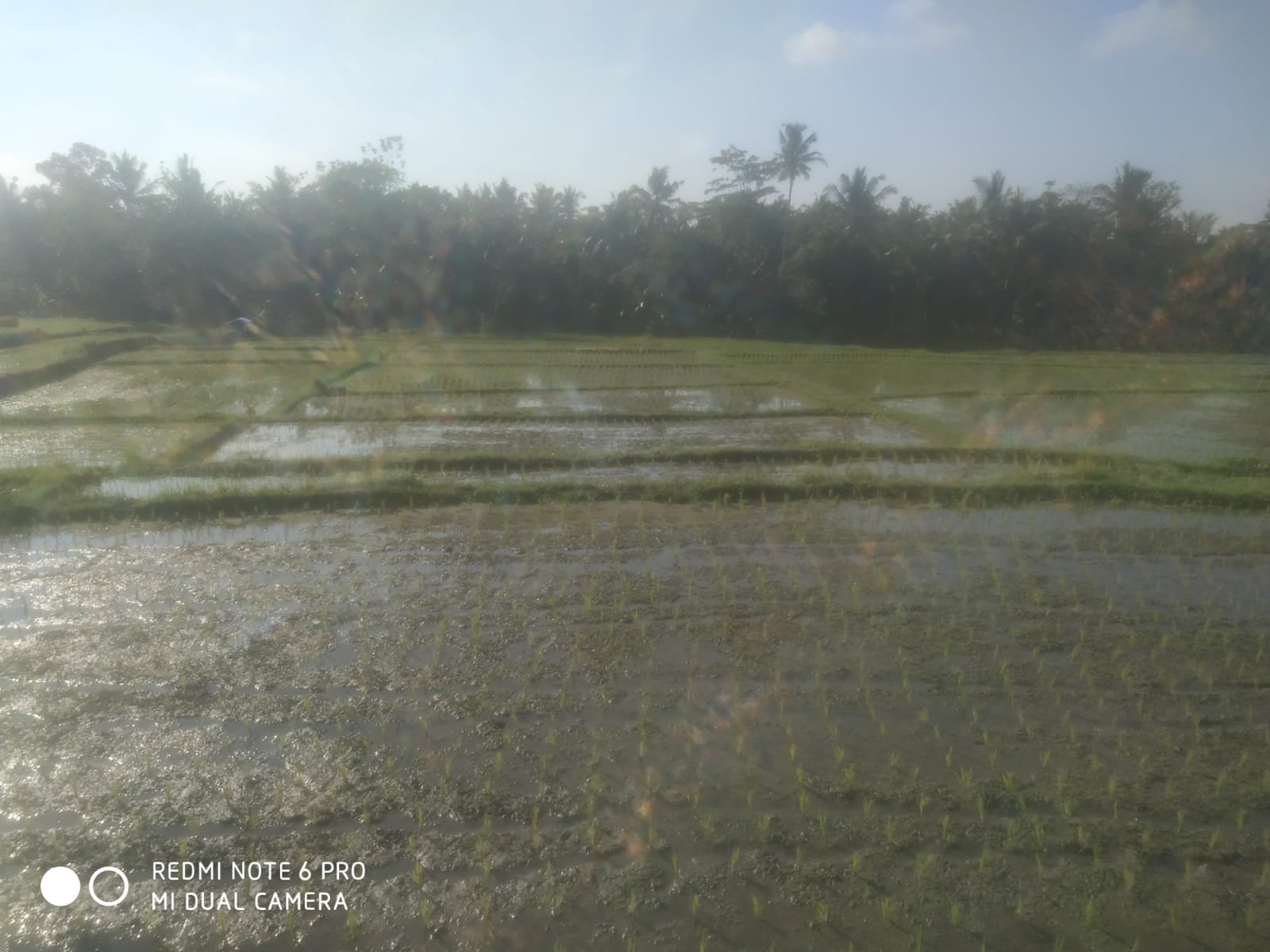 1 BIDANG TANAH DENGAN LUAS 1400M2 DI KABUPATEN TABANAN 
