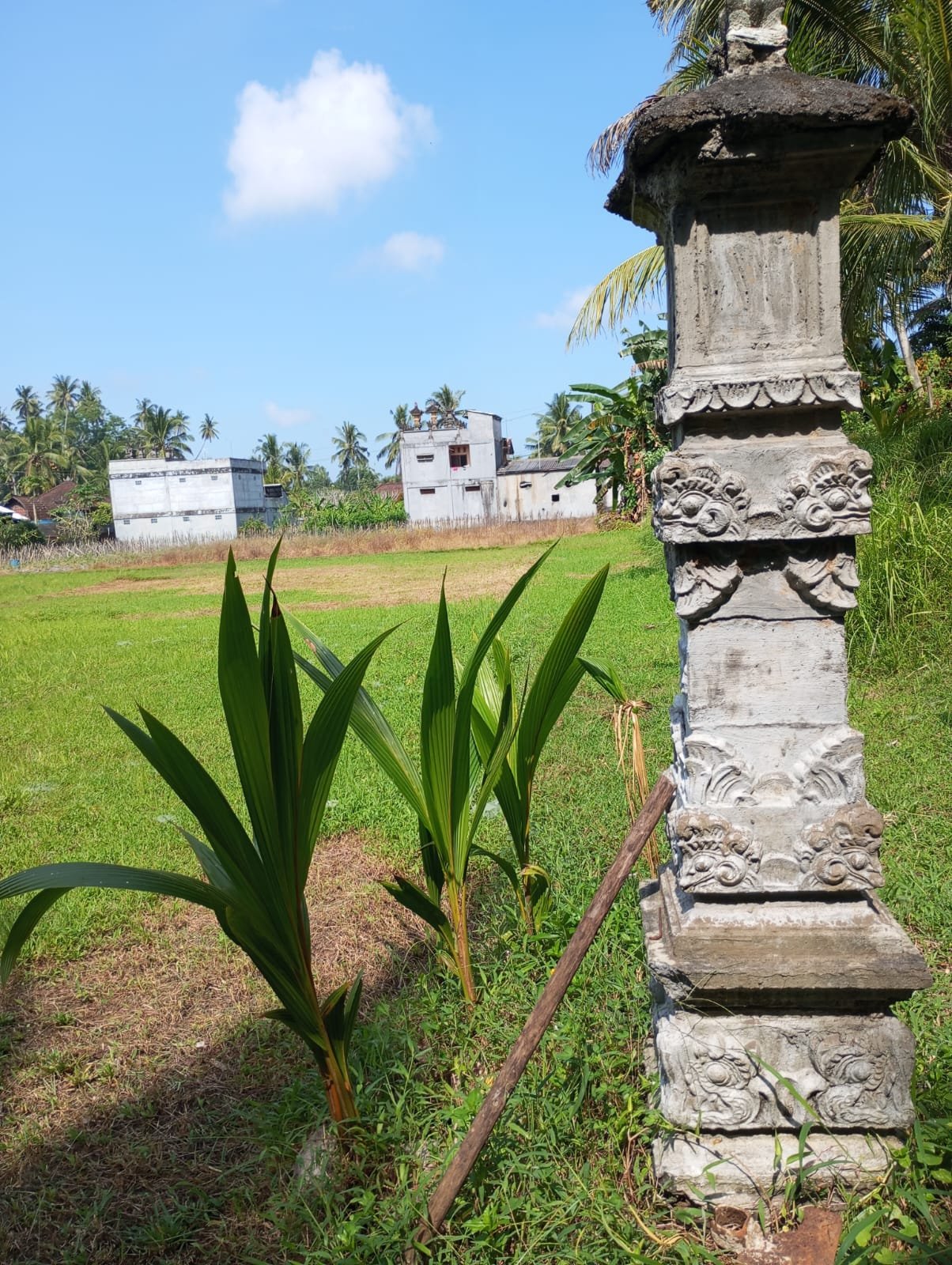1 BIDANG TANAH DENGAN LUAS TOTAL 2050 M2 DIKABUPATEN TABANAN 