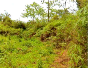 1 BIDANG TANAH DENGAN TOTAL LUAS 2.091 M2 DI KABUPATEN MANGGARAI