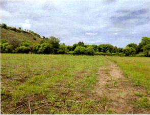 1 BIDANG TANAH DENGAN TOTAL LUAS 7.624 M2 DI KABUPATEN SUMBA TIMUR