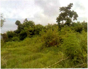 1 BIDANG TANAH DENGAN TOTAL LUAS 785 M2 DI KOTA KUPANG