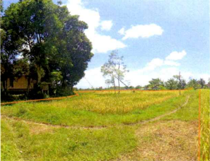 1 BIDANG TANAH DENGAN TOTAL LUAS 2.902 M2 DI KABUPATEN LOMBOK TENGAH