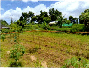 1 BIDANG TANAH DENGAN TOTAL LUAS 3.557 M2 DI KABUPATEN LOMBOK TENGAH